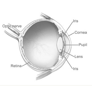 Eye Diagram to show correspondence to Photography lens and aperture