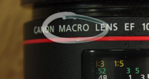 macro setting on lens